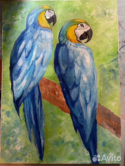 Картина маслом попугаи