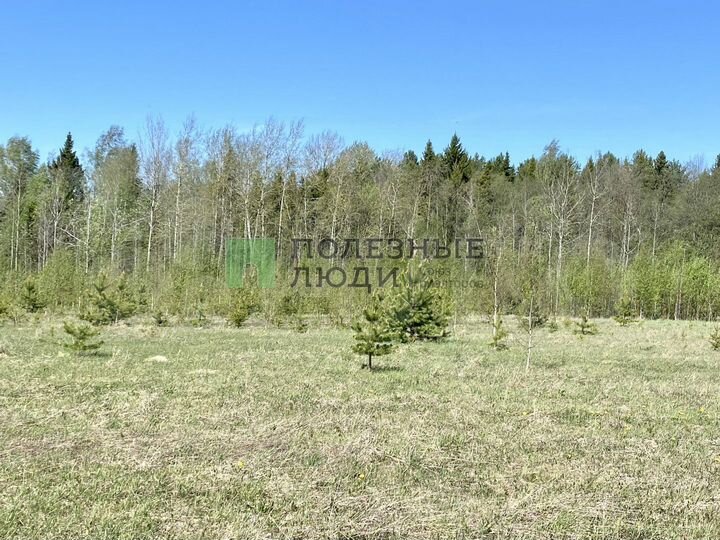 Участок 15,21 га (ИЖС)