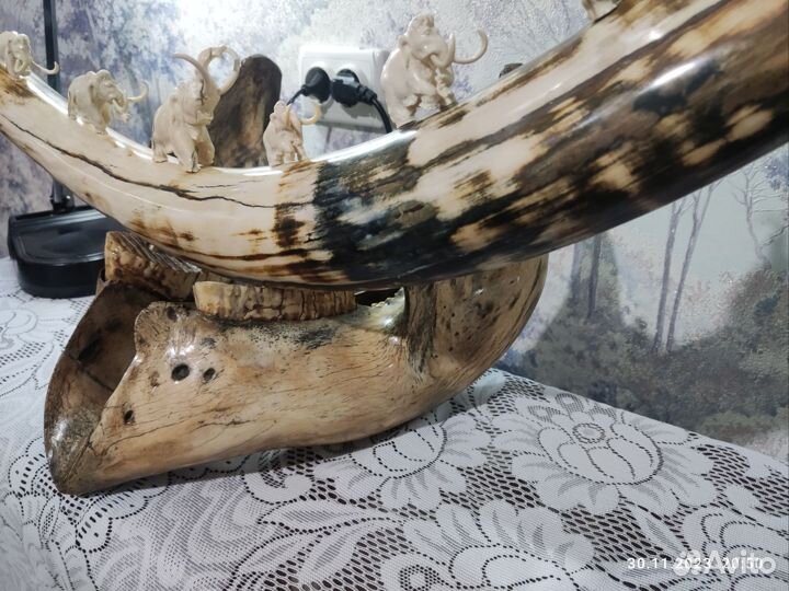 Бивень мамонта 