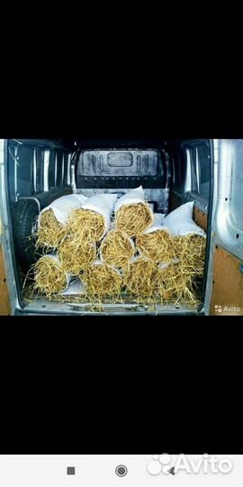 Солома в мешках на подстилку
