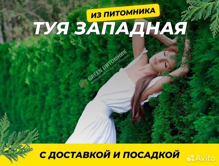 Туя в ассортименте:Смарагд,Брабант,Колумна