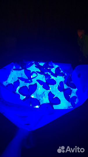 Букет из бабочек, и роз