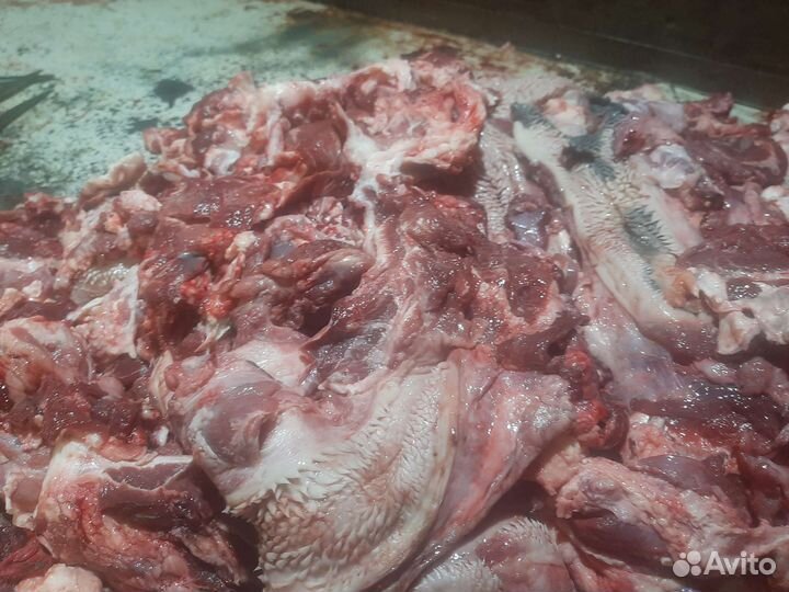 Мясо обрези для собак