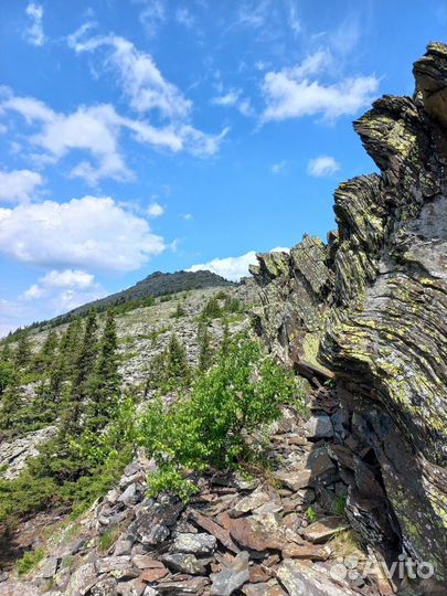 3.01 Восхождение на хребет Уреньга. Вторая Сопка