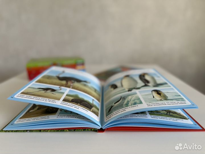 Книги твоя первая энциклопедия