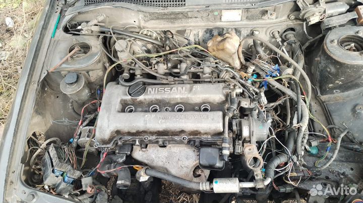 В разбор Nissan primera p10