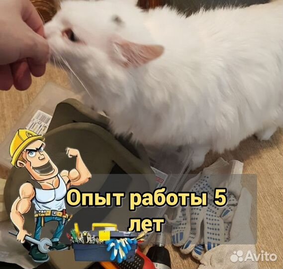 Ремонт стиральных и посудомоечных машин