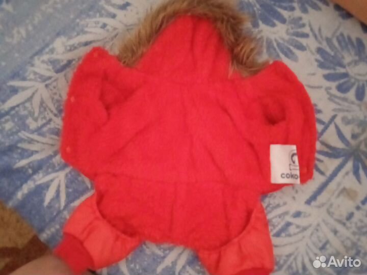 Одежда для маленьких собак