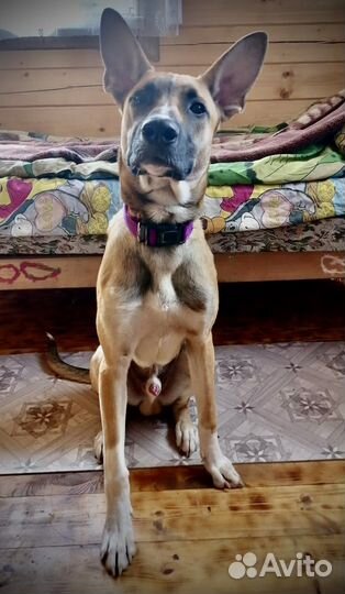 Красивый подросток мальчик ищет дом