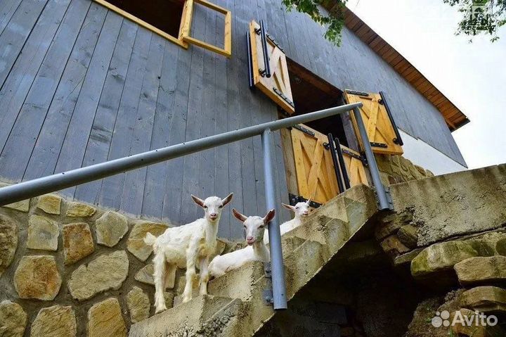 Экскурсия в долину Мацеста