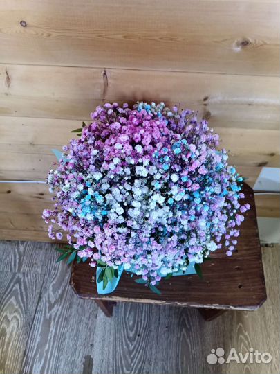 Гипсофила букет цветы