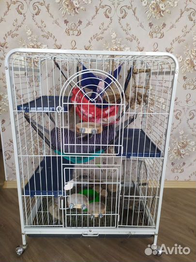 Клетка для грызунов большая