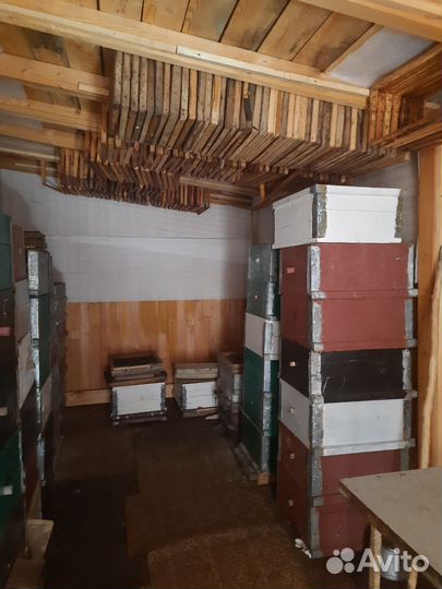 Улей для пчел