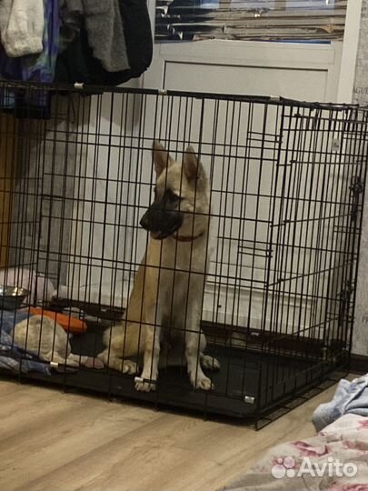 Клетка вольер для собак бу