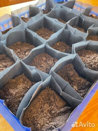 Пакеты для рассады 0,5 литра