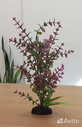 Декорации для аквариума