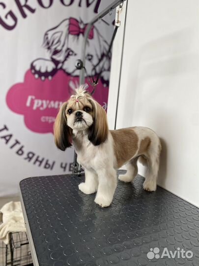 Стрижка животных