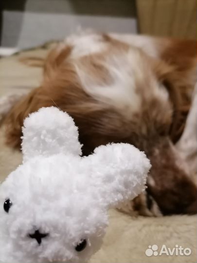 Мягкий зайчик Miffy