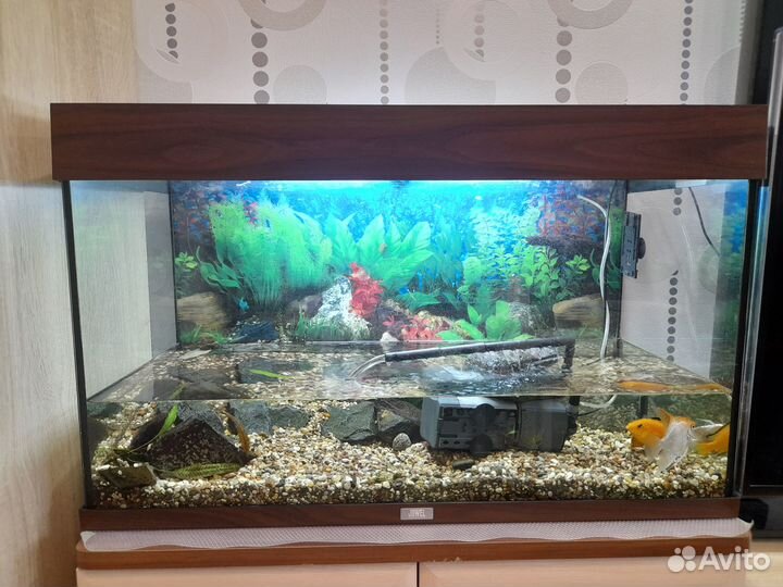 Аквариум juwel rio 125