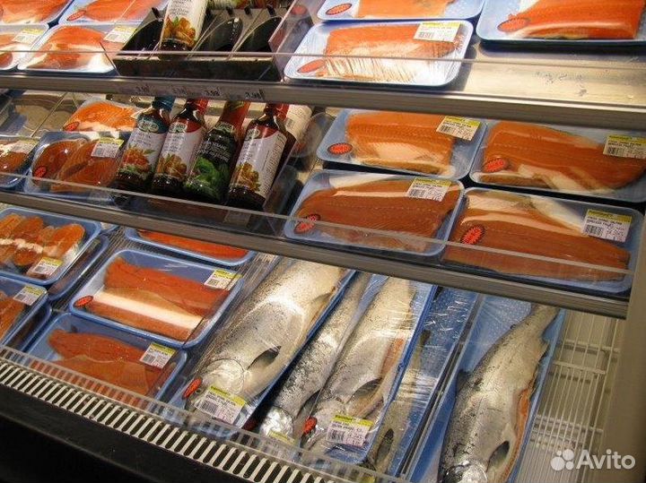 Продается готовый бизнес: Рыбный магазин с постоянным доходом