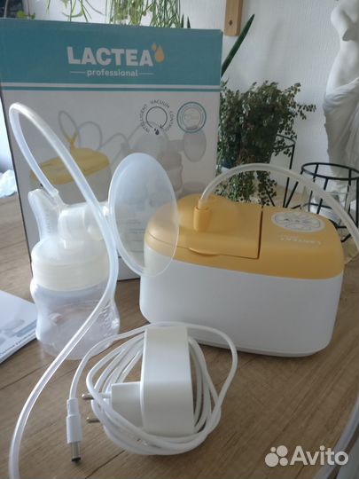 Молокоотсос lactea