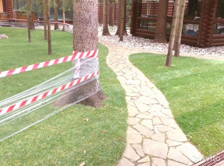 Рулонный газон от производителя