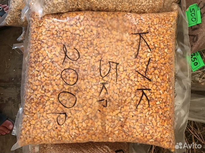 Кукуруза зерно цельное по 5 кг
