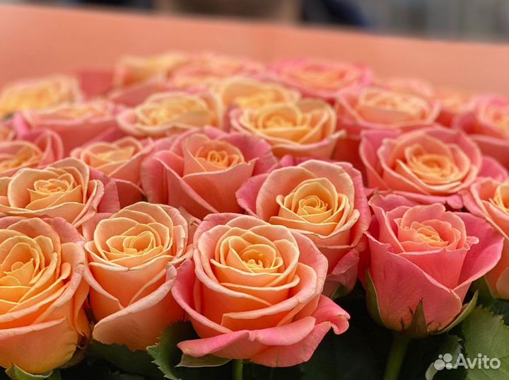 Розы красные 25 35 45 55 роз 101 роза букет цветы