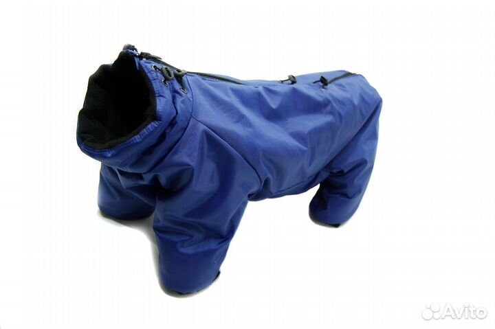 Амуниция для собак