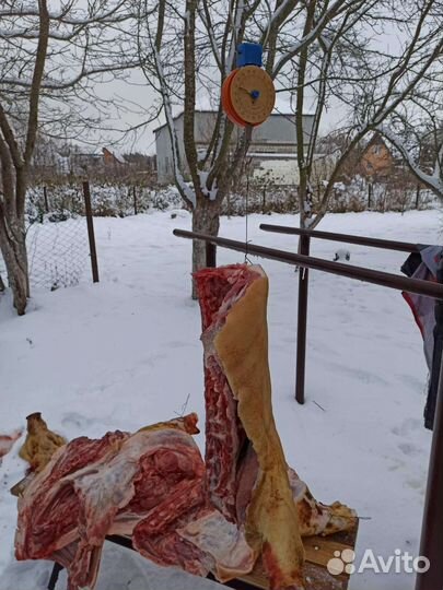 Домашняя свинина