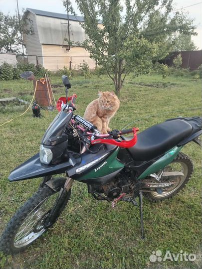 Irbis xr 250r