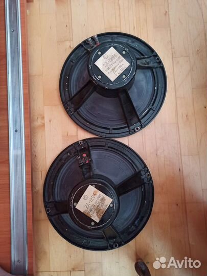 Динамики Ломо Кинап 2А12У4