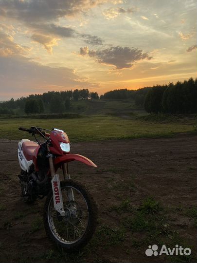 Irbis TTR-250
