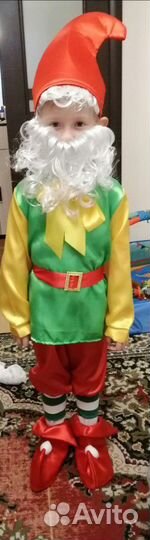 Костюм гном