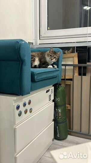 Лежак для животных