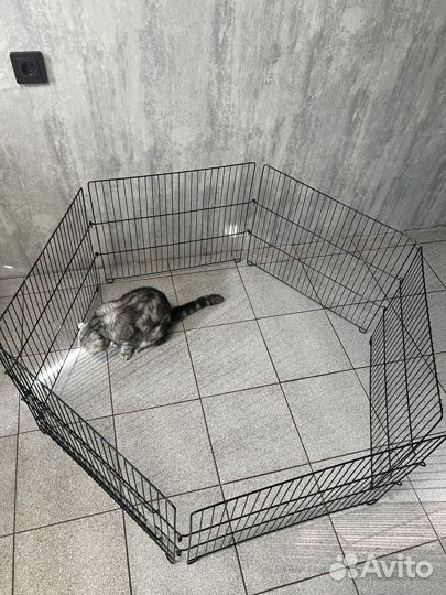 Вольер для собак щенков в квартиру