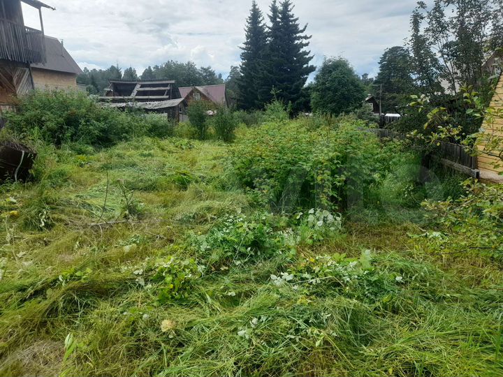 Дача 24 м² на участке 5 сот.