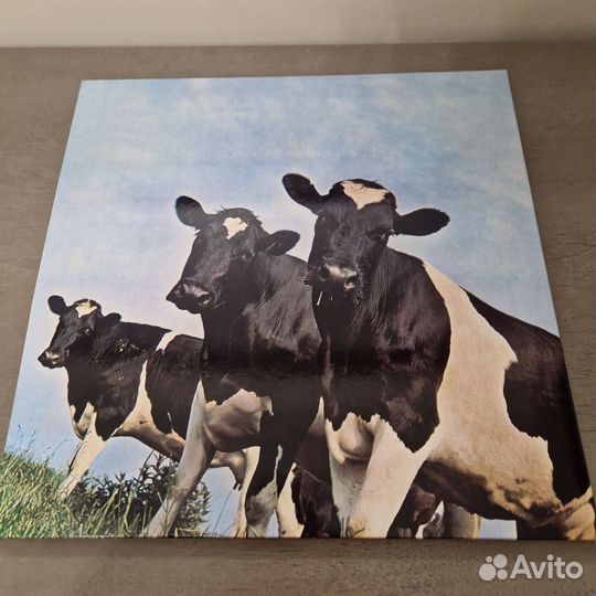 Виниловая пластинка Pink Floyd