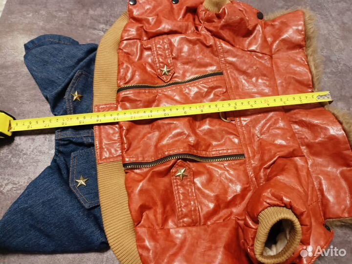 Одежда для собак