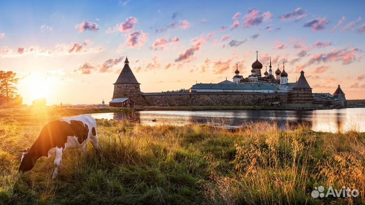 Классика Соловков и затерянный архипелаг Кузова