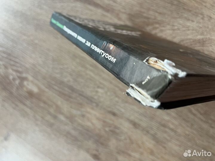 Похороните меня за плинтусом. Санаев