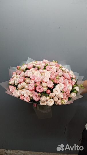 101 роза кустовые пионовидные