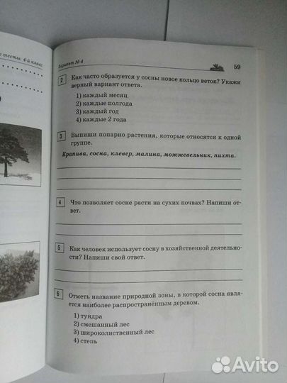 Впр Итоговые интегрированные тесты 4 класс фгос