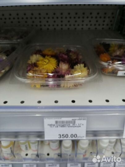 Сухоцветы, каштаны для творчества