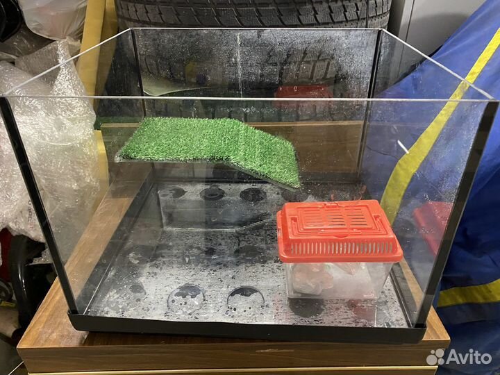 Террариум, черепашник