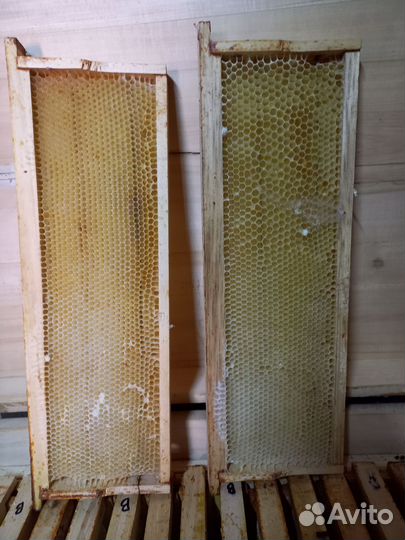 Инвентарь для пасеки пчеловодческой