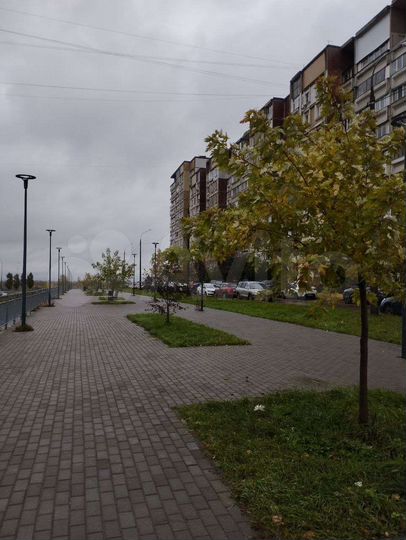 3-к. квартира, 82 м², 2/9 эт.