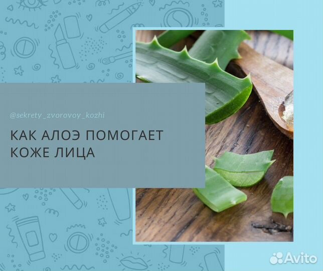 Лекарственные растения 3 года