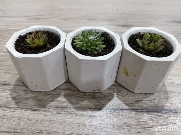 Подсвечники, кашпо для суккулентов