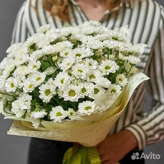 Хризантема Кустовая Сантини С доставкой